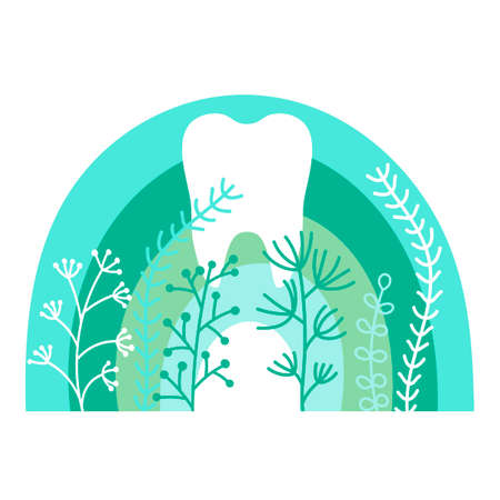 White healthy tooth on a background of rainbows and herbs. Mint and green colors, Flat style. The concept of oral hygiene and dental care. Vector hand-drawn illustration isolated on a white background.のイラスト素材