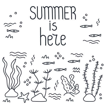 Summer is here lettering. Doodle hand drawing Frame. Sea life, . Vector illustrationのイラスト素材