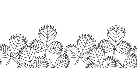 Coloring book for older children and adults. Seamless border with abstract leaves. Decorative hand drawn vector illustrationのイラスト素材