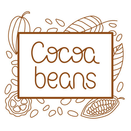 Cocoa beans. Hand drawn Vector illustration, handwriting, lettering. Cocoa pod, fruit and grains.のイラスト素材