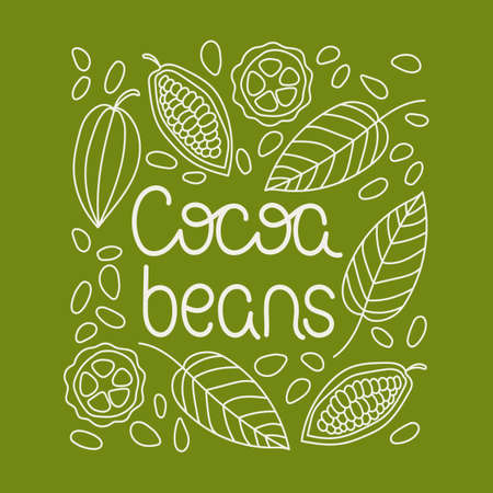 Cocoa beans. Handwriting, lettering. Cocoa pod fruit and grains. Hand drawing vector illustrationのイラスト素材
