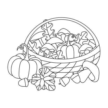 Basket with mushrooms and pumpkin. Autumn coloring book for children and adult. Vector illustrationのイラスト素材