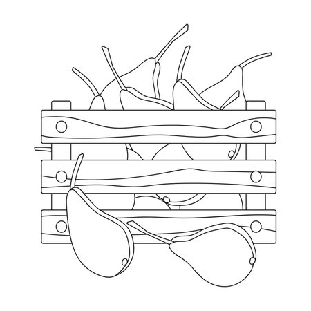 Harvest, coloring book page. Pears in a wooden box. Wood tray for farm fruitのイラスト素材