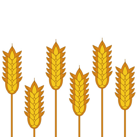 Seamless background cereals ears on white . Hand drawn vector horizontal patternのイラスト素材