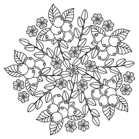 Mandala. Coloring book pages. Berry vector illustration. Cartoon Black and white picturesのイラスト素材