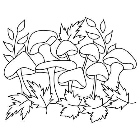 Mushrooms and leaves, Hand drawn doodle vector illustration. Coloring book page, cards. Black and white pattern.のイラスト素材