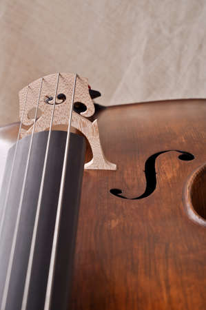 Detail of a violoncello isolated on beige backgroundの写真素材