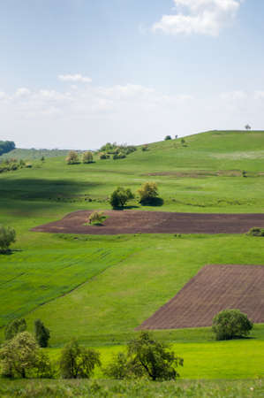 Landscape with green hills and trees and mountainsの写真素材