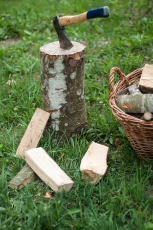 Axe and wooden trees logs after being cut on grassの写真素材