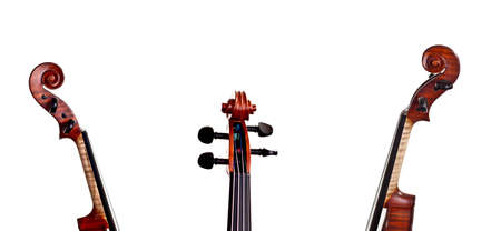 Neck and scroll of the violin in different positions - a collage of art instrumentの写真素材