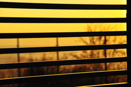 sunset through a fenceの写真素材