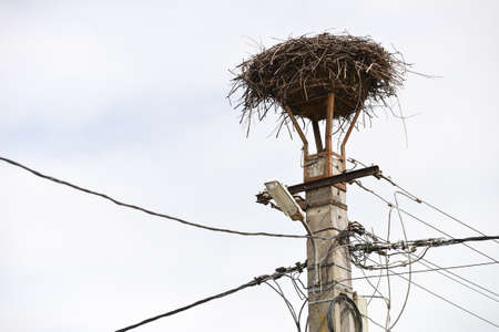empty nest of storks on a lamppostの写真素材