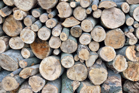 Pile of wood logs ready for winter. Stack of firewood as background
