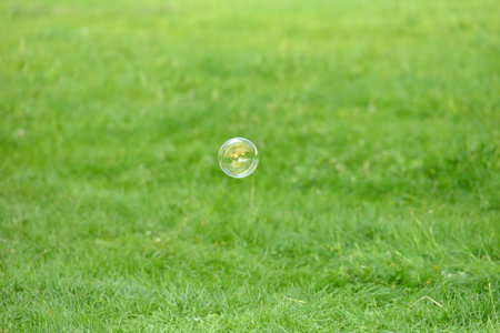 Flying soap bubbles against the grass background with relection of the trees and sky
