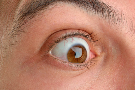 Close up picture of brown human eye. Young man with long eyelashの写真素材