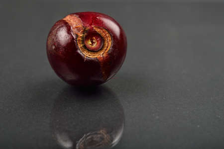 Close up of image of rotten red cherry fruit on reflective black background. Selective focus.の写真素材