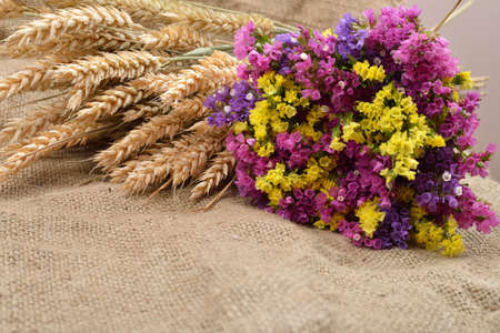 Colored dry bouquet and and dry ears of wheat on rustic jute background. Beautiful arrangement of flowers located on burlap vintage style useful as wallpaper. Copy spaceの写真素材