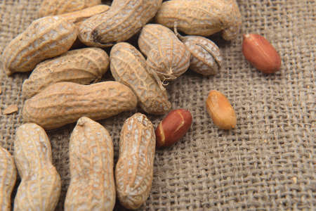 Close up peanut in the shell and without shell on a jute background. Healthy foodの写真素材