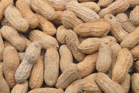 A lot of peanut in the shell for background. Raw peanuts at a farmer's market.