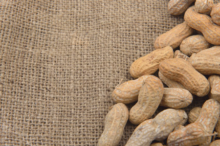 Peanut in the shell on a jute background. Healthy food. opy space
