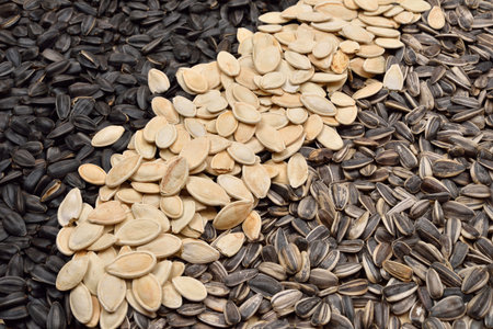 Close up image of different sunflower and pumpkin seeds. Health. Selective focus