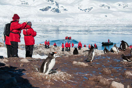 Red jacket expedition exploring Antarcticaのeditorial素材