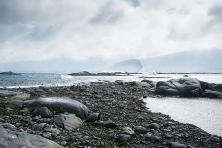Awesome beach in Antarcticaの写真素材