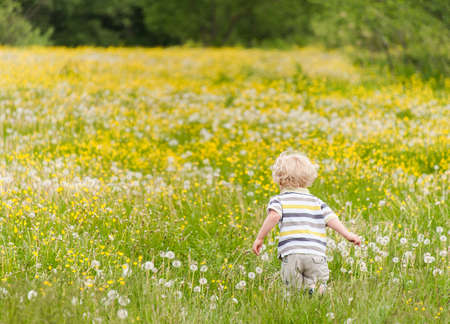Young boy running on the flower meadowの写真素材