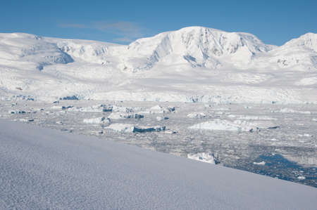 Awesome seascape in Antarctica, bright sunny dayの写真素材