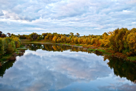 River in the autumn forest