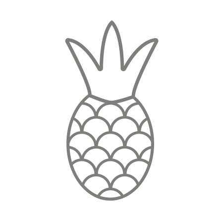 Pineapple symbol icon. Tropical exotic fruit simple line vector iconの写真素材
