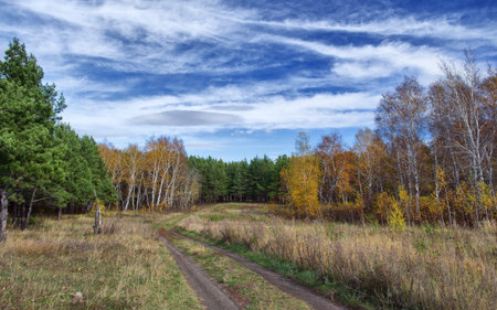 indian summerの写真素材