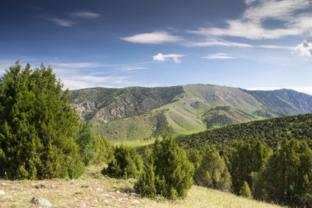 mountains of Kyrgyzstanの写真素材