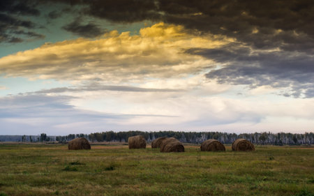 indian summerの写真素材