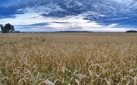 indian summerの写真素材