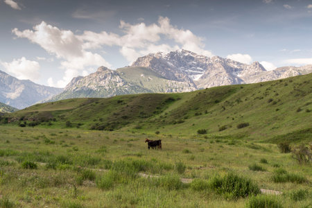mountains of southern Kyrgyzstanの写真素材