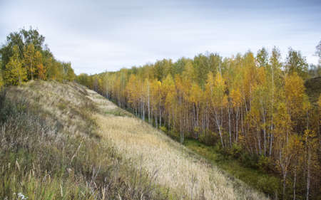 indian summerの写真素材