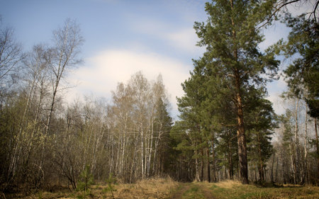 indian summerの写真素材