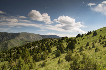 mountains of southern Kyrgyzstanの写真素材