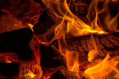 Burning firewood and crarcoal in the fireplace