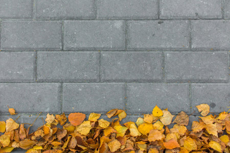 Autumn leaves on paving stone bricks background