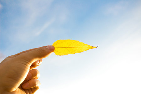 Hand holding fading yellow leaf on sky background. Autumn time season composition.