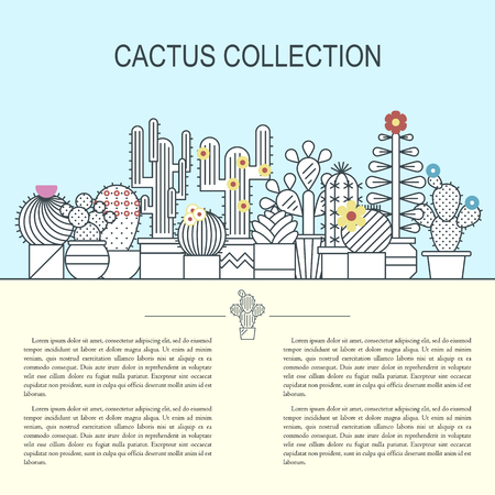 Cactus and succulents vector line icon set. Exotic floral garden silhouettes. Nature cacti outline design illustration. Graphic cartoon plant collection isolated.のイラスト素材