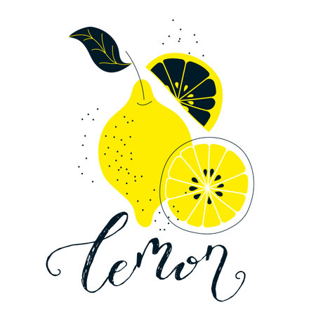 Hand Drawn Lemon Illustration With Lettering Fresh Natural Fruit