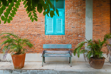 Empty bench and decorative tree on brick wall background with window.の写真素材