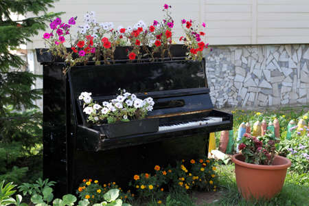 The piano-bedのeditorial素材
