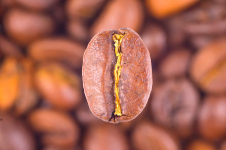 Macro shot of a coffee bean