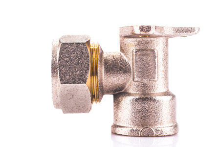 Compression sanitary wall plate fitting isolated, side view
