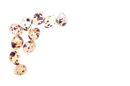 Quail eggs isolated on white backgroundの写真素材