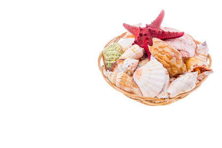 Collection of seashells on wicker plate isolated on whiteの写真素材